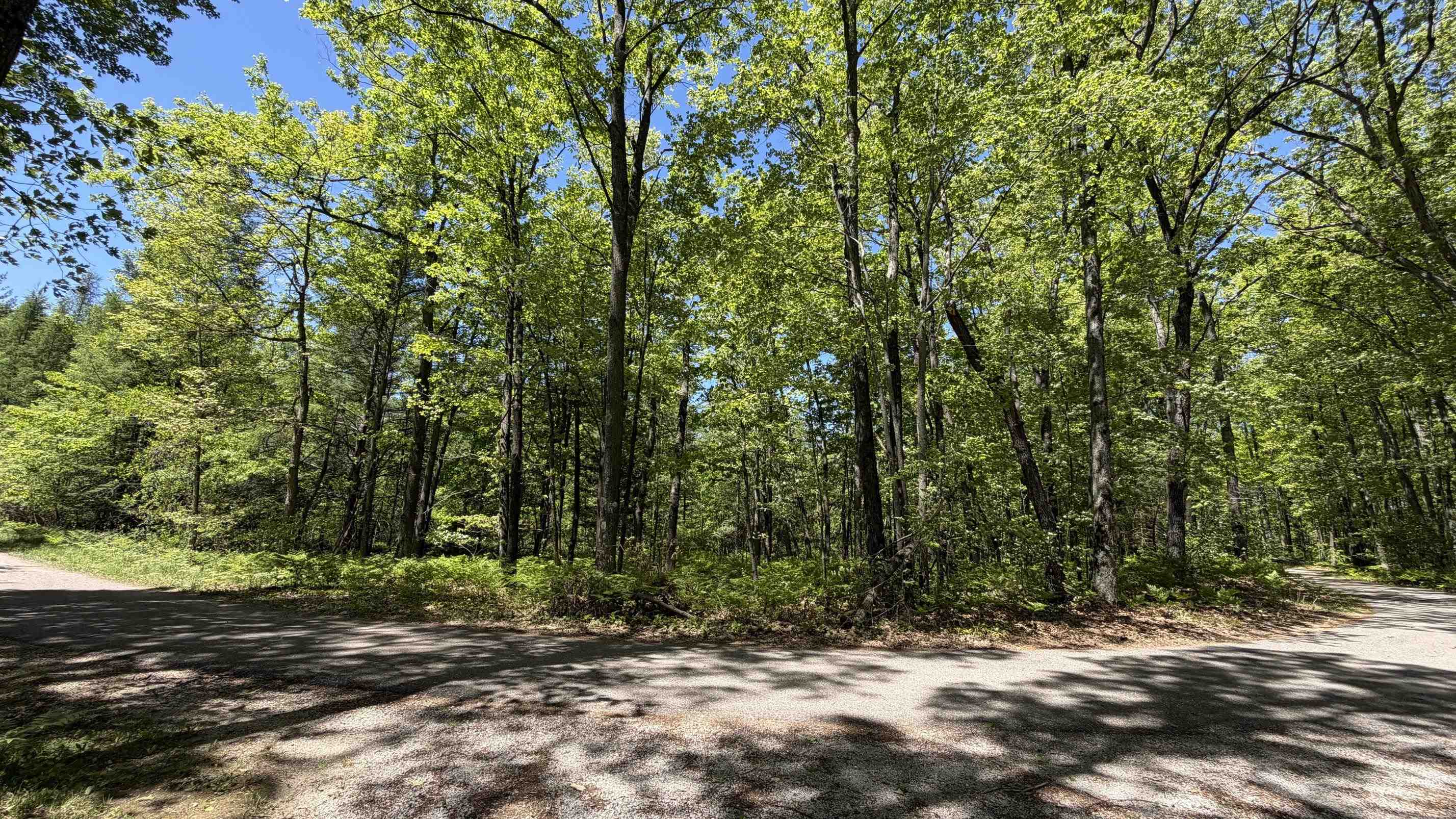 Tbd West Lk George Drive Harrison, MI 48625 - Photo 4 of 13