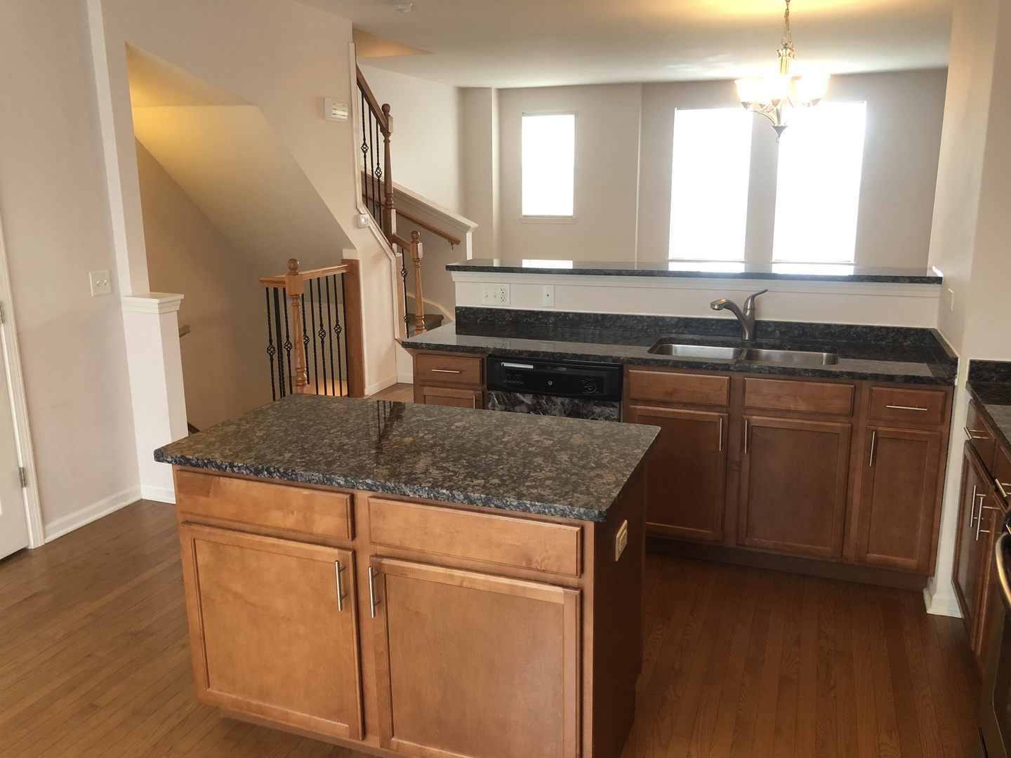 3710 South Sangamon Street Chicago, IL 60609 - Photo 3 of 29