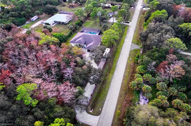 a view of a garden with flowers