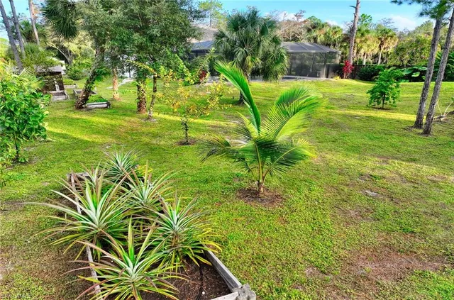 a backyard of a house with table and chairs plants and large trees