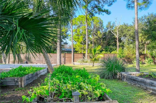 a view of a backyard with plants and large trees