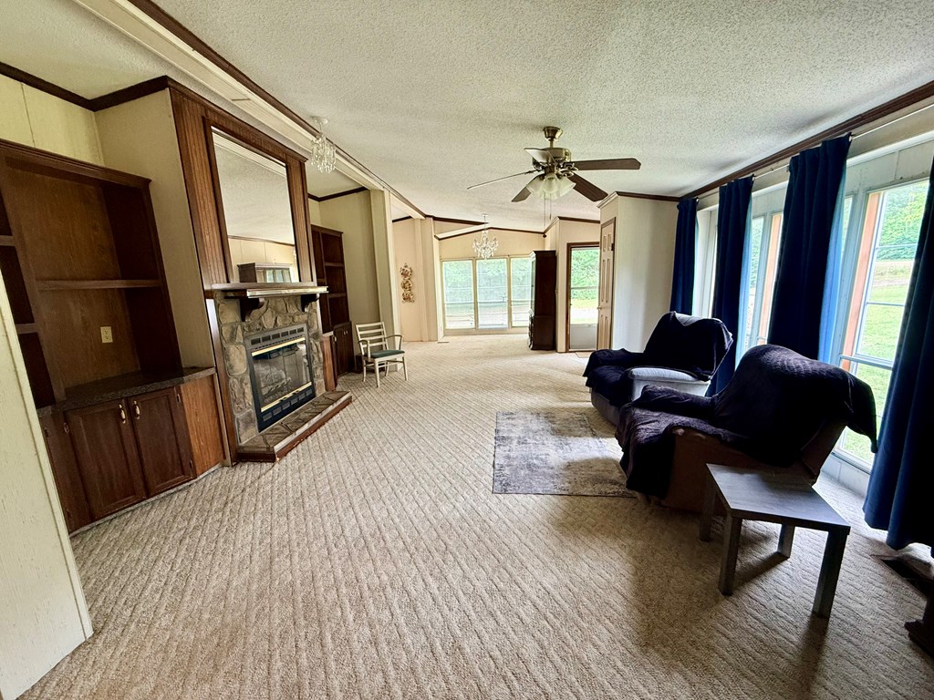 3231 County Road 46 Abbeville, AL 36310 - Photo 3 of 25
