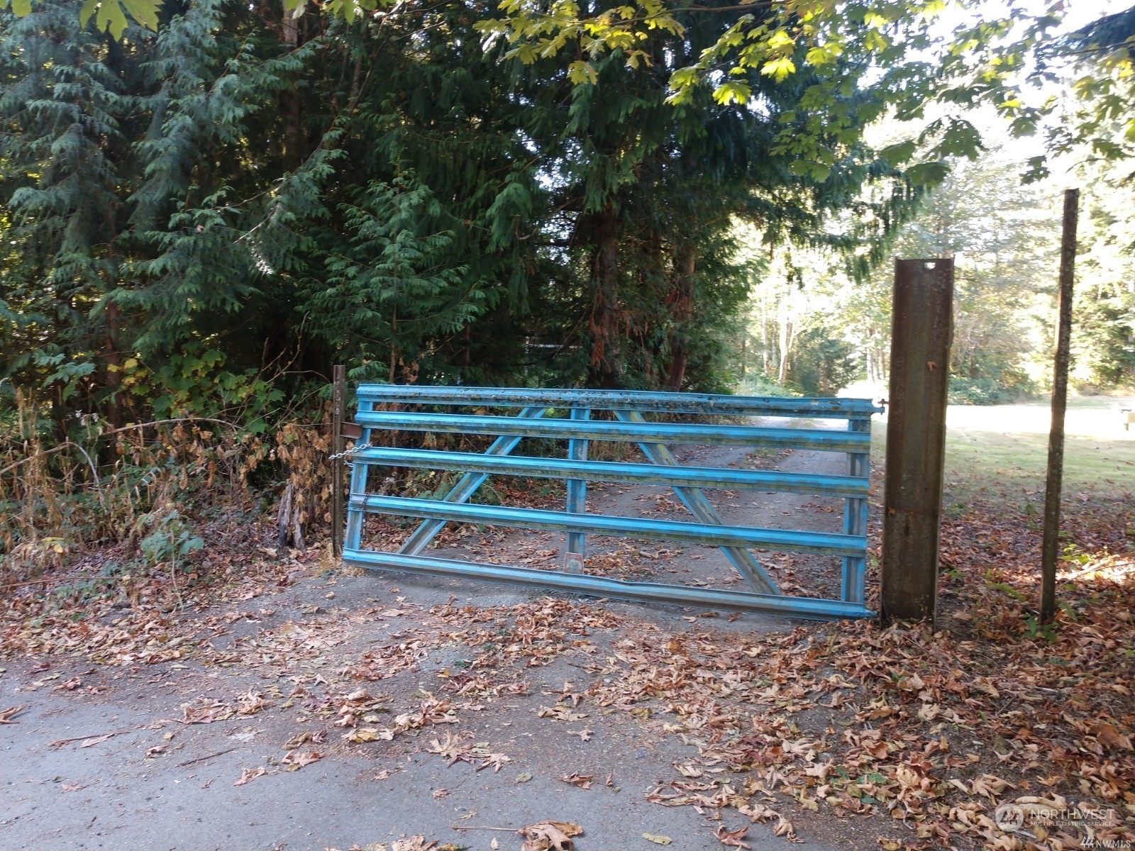 0 Prevedell Road Sedro-Woolley, WA 98284 - Photo 1 of 8 Gallery Image 1