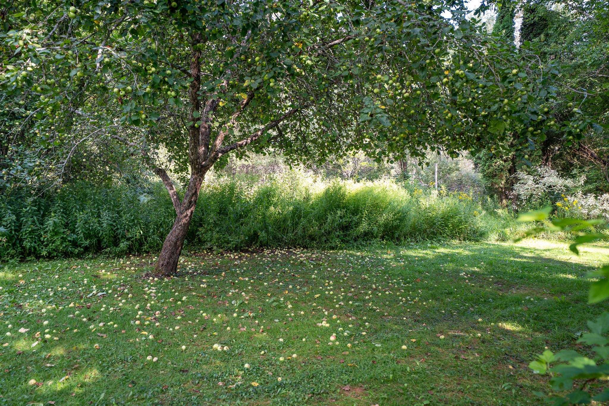 2650 Tampico Road Danville, VT 05828 - Photo 59 of 60 Gallery Image 59