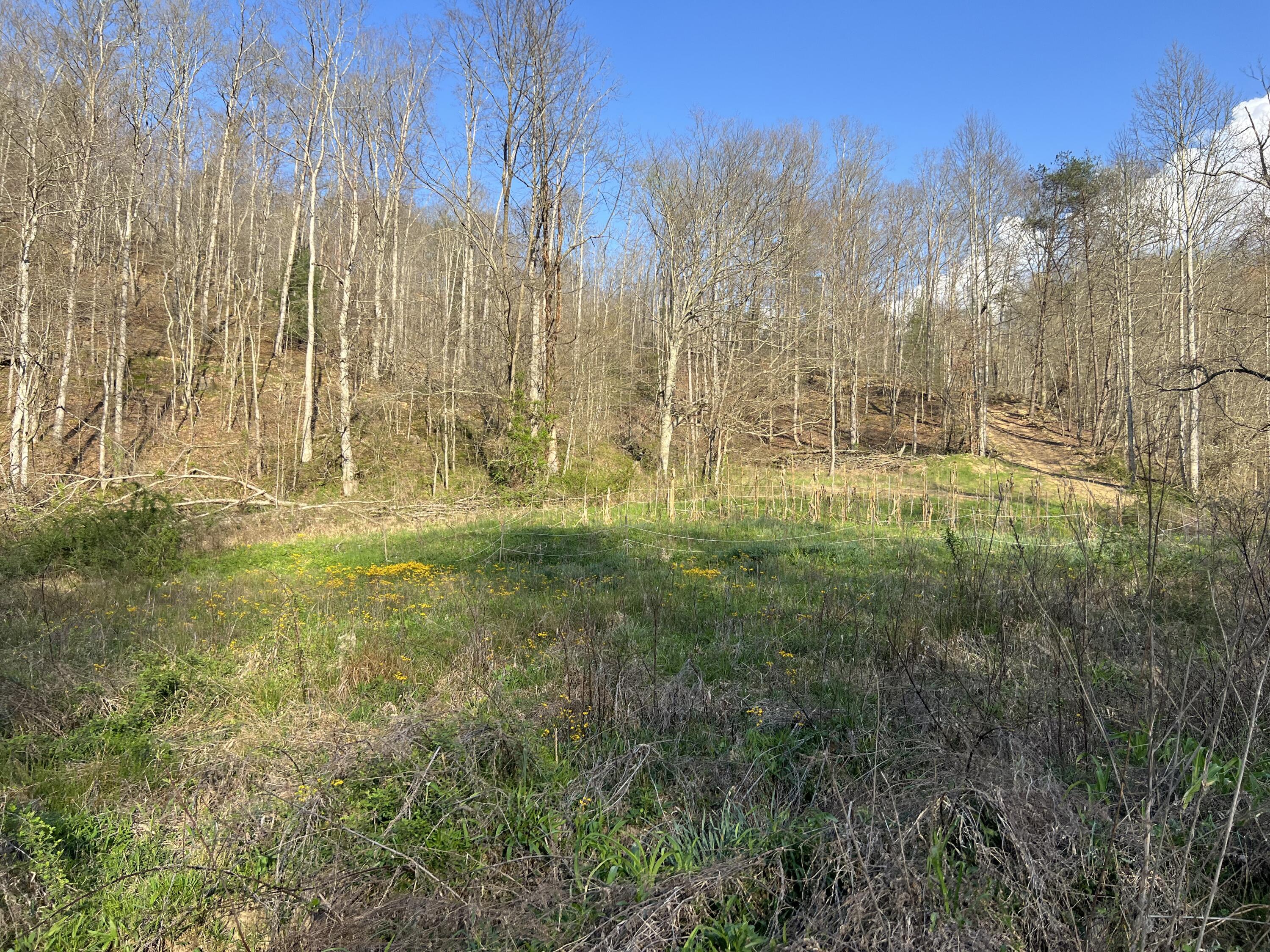 2000 Tbd Stamper Branch Campton, KY 41301 - Photo 22 of 47 Photo Apr 15, 6 16 30 PM