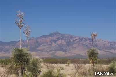 0 Rodeo Ranch Rodeo, AZ 88056 - Photo 2 of 2