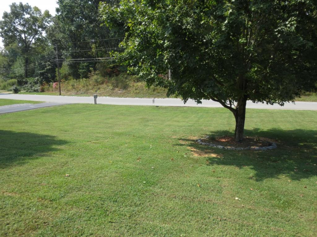 129 Valley Road Telford, TN 37690 - Photo 3 of 24 view to street