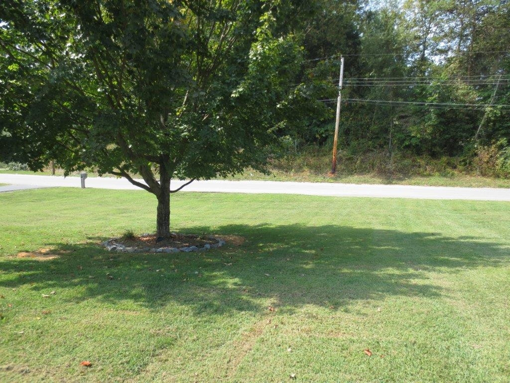 129 Valley Road Telford, TN 37690 - Photo 8 of 24 front yard