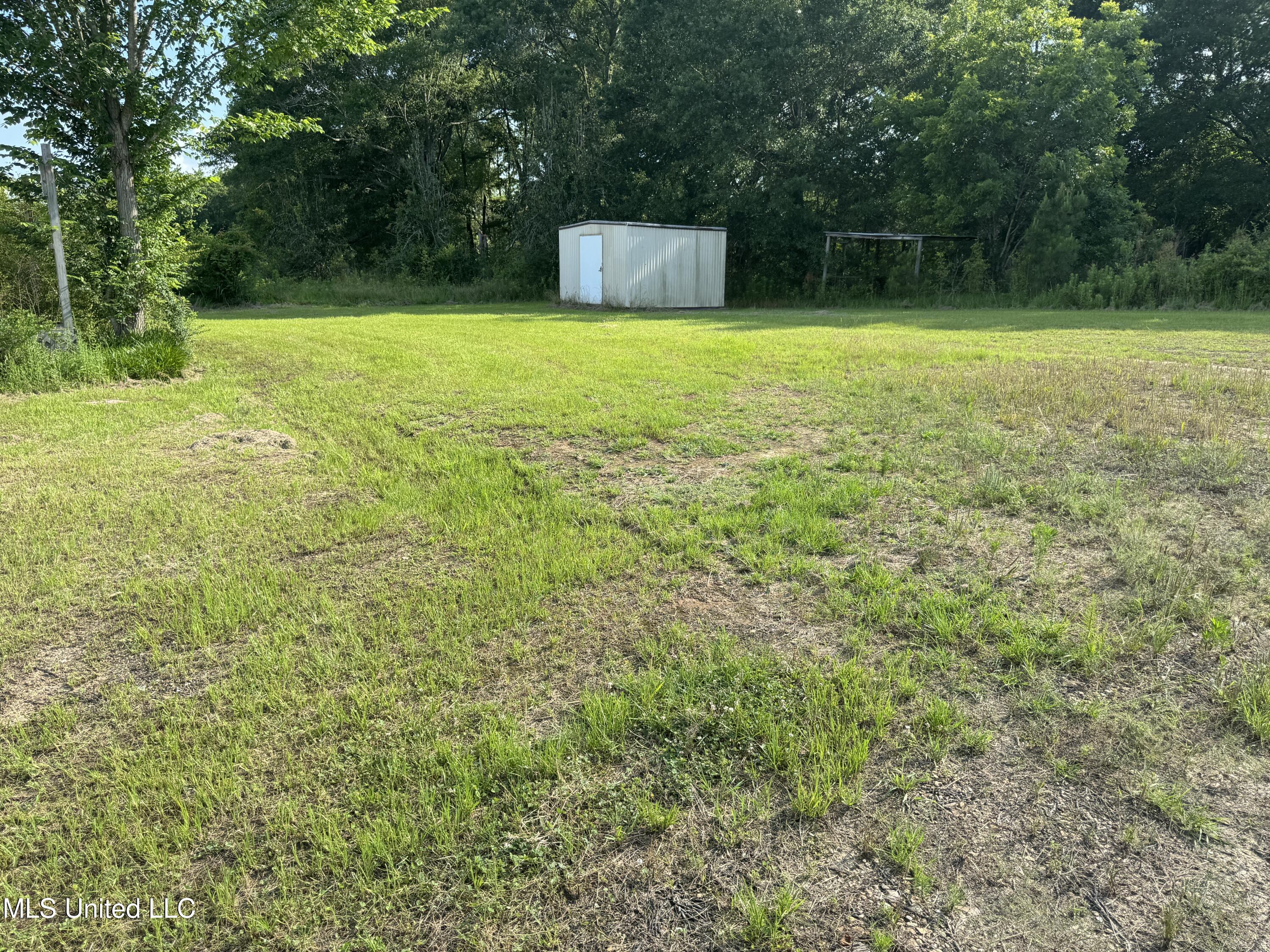 3195 Lebanon Pinegrove Road Utica, MS 39175 - Photo 2 of 7 Back Yard