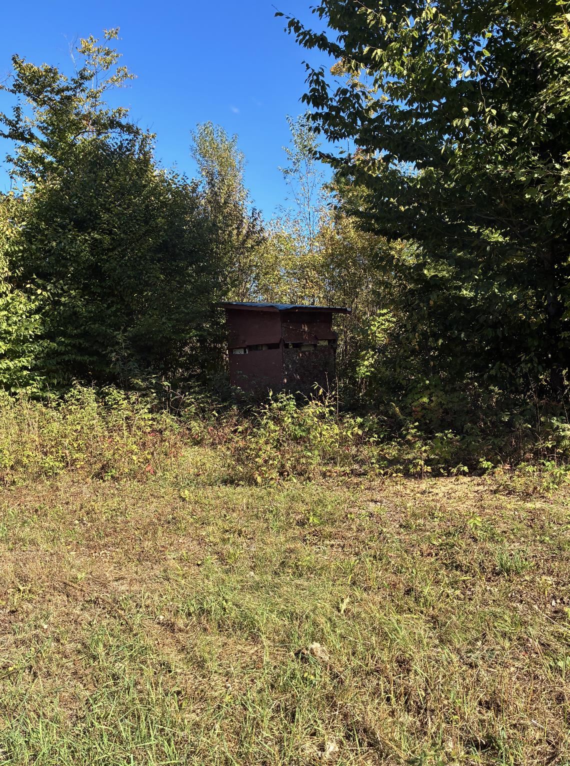 0 Henschell Road Fife Lake, MI 49633 - Photo 28 of 35 Gallery Image 28