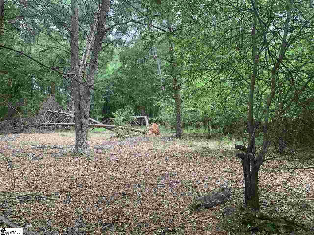 0 Northwest Dean Road Greer, SC 29651 - Photo 2 of 6 Gallery Image 2