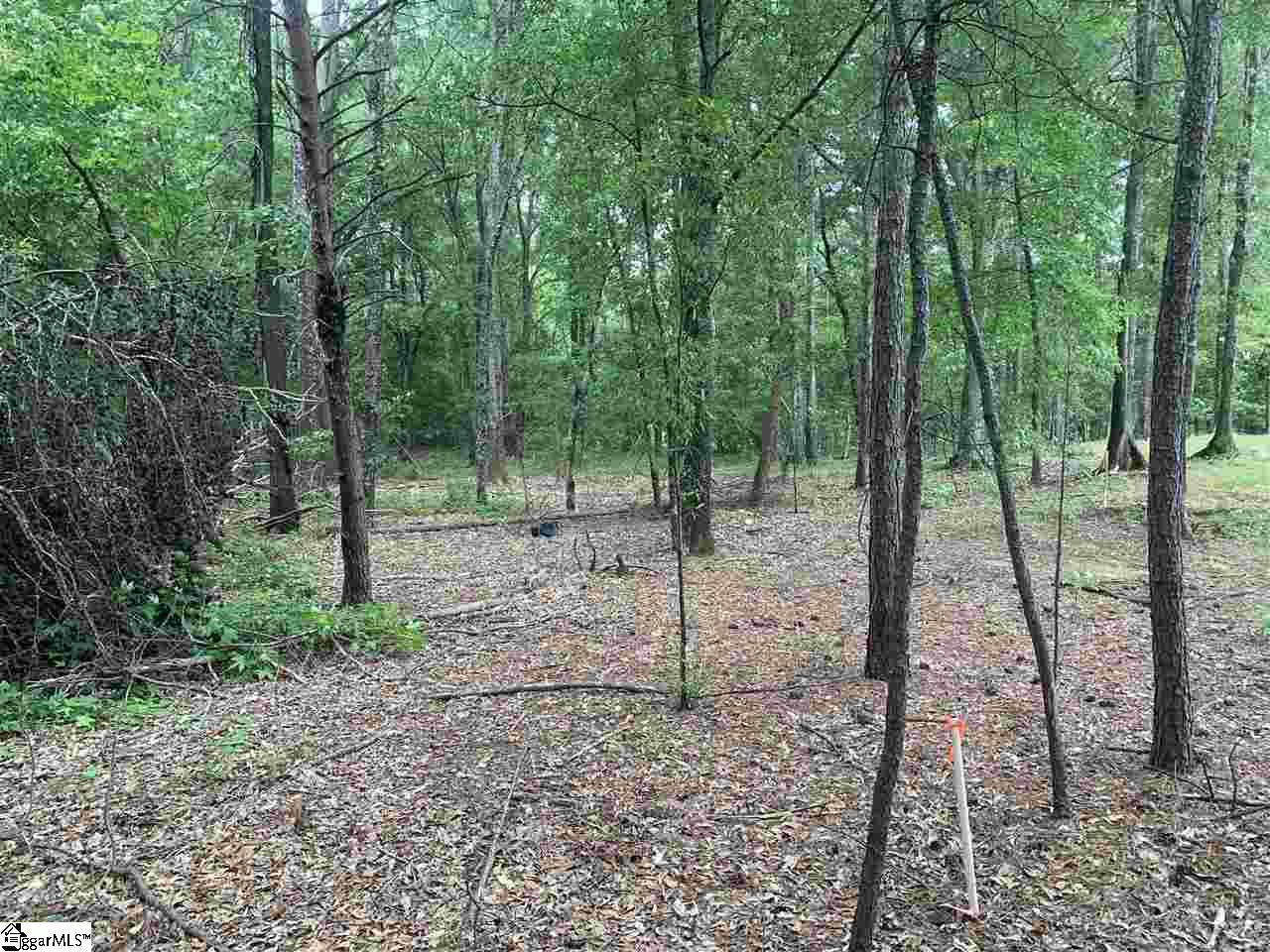 0 Northwest Dean Road Greer, SC 29651 - Photo 4 of 6 Gallery Image 4