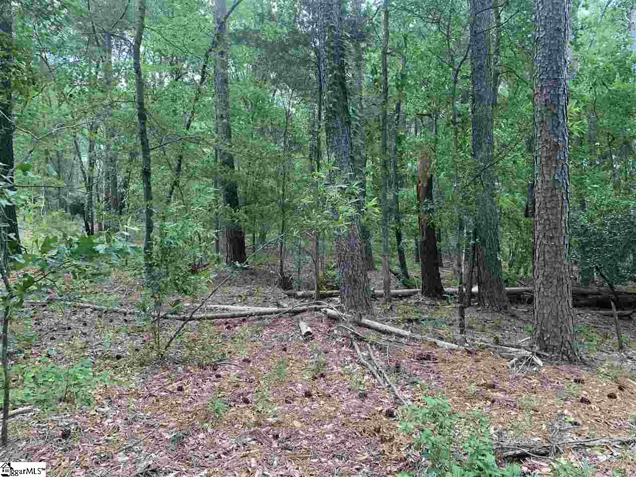 0 Northwest Dean Road Greer, SC 29651 - Photo 5 of 6 Gallery Image 5