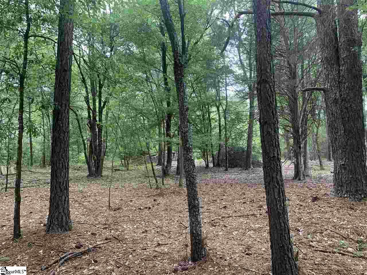 0 Northwest Dean Road Greer, SC 29651 - Photo 6 of 6 Gallery Image 6