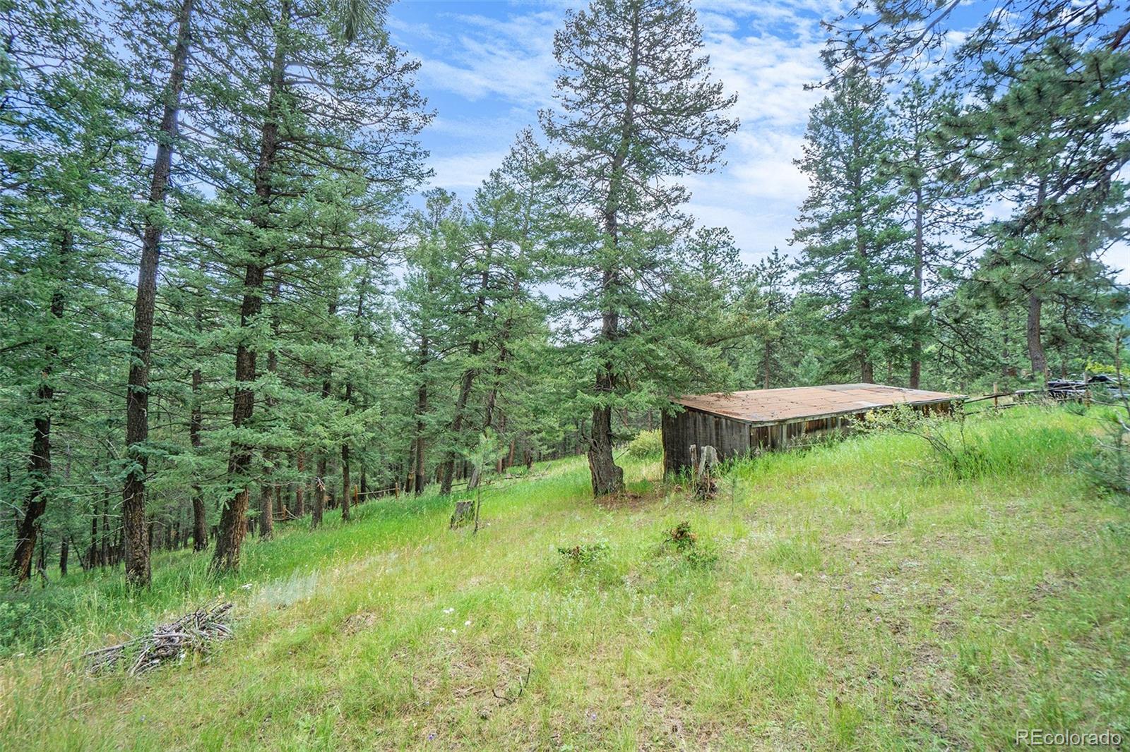 0 Kings Road Evergreen, CO 80439 - Photo 3 of 4 Gallery Image 3