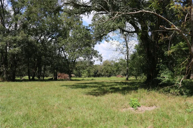 a view of outdoor space with trees