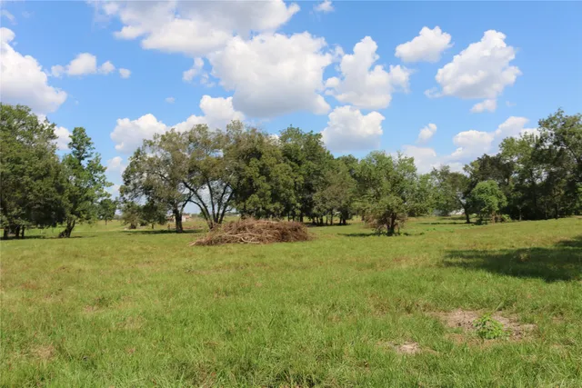 a view of outdoor space with green field and trees all around