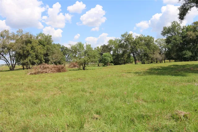 a backyard of a house with lots of green space