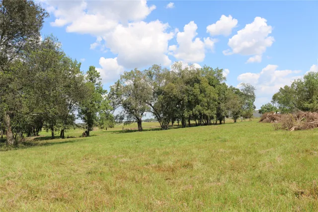 a view of a trees in front of a big yard with large trees