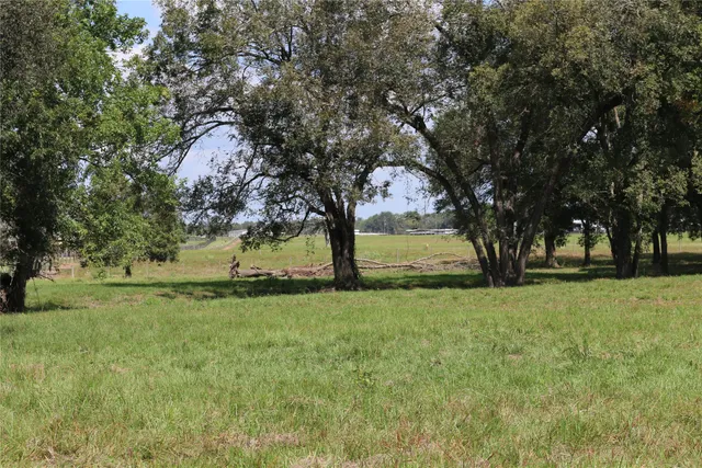 a view of a yard with entertaining space