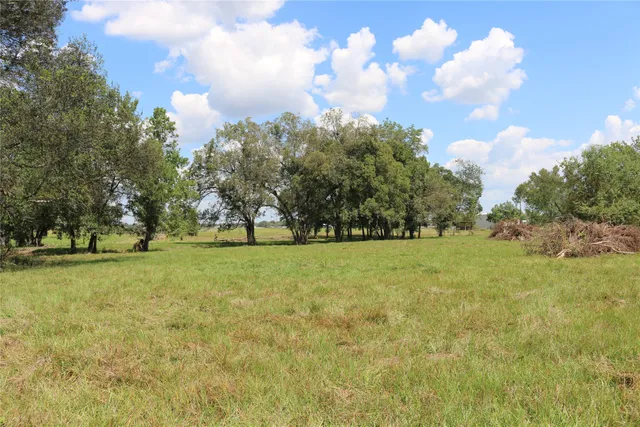 a grassy field with trees in the background