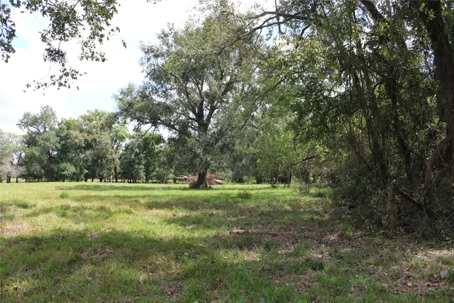 a view of grassy field with trees in the background