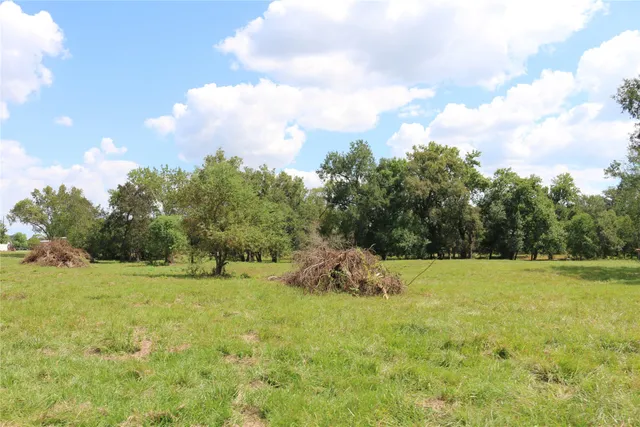 a view of outdoor space with trees all around