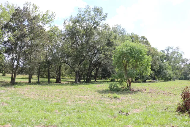 a view of a yard and a yard
