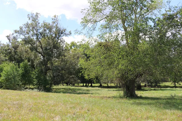 a view of yard with trees