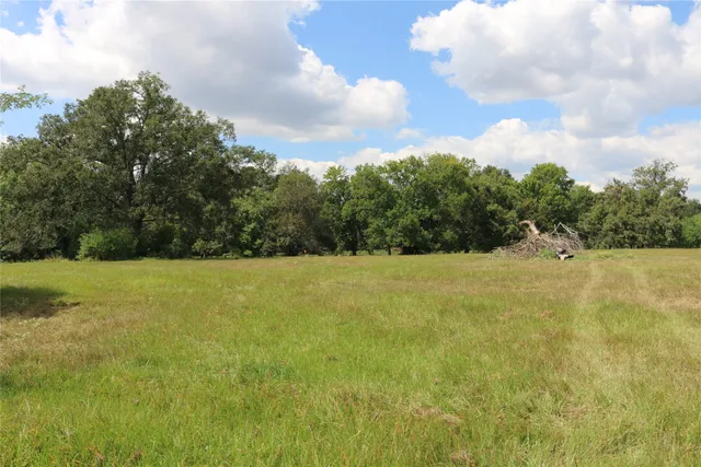 a view of yard with large tree and wooden fence