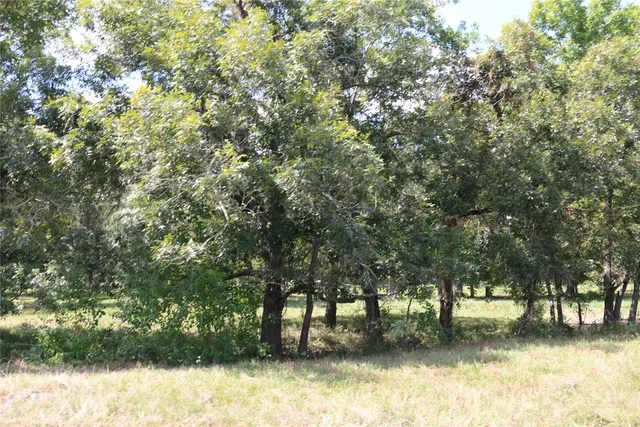 a view of a yard with a trees
