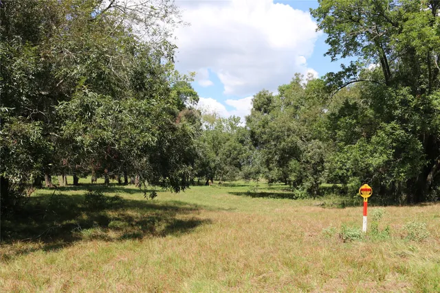 a view of backyard with green space
