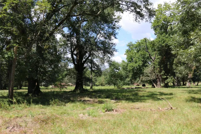 a view of a field with trees in the background