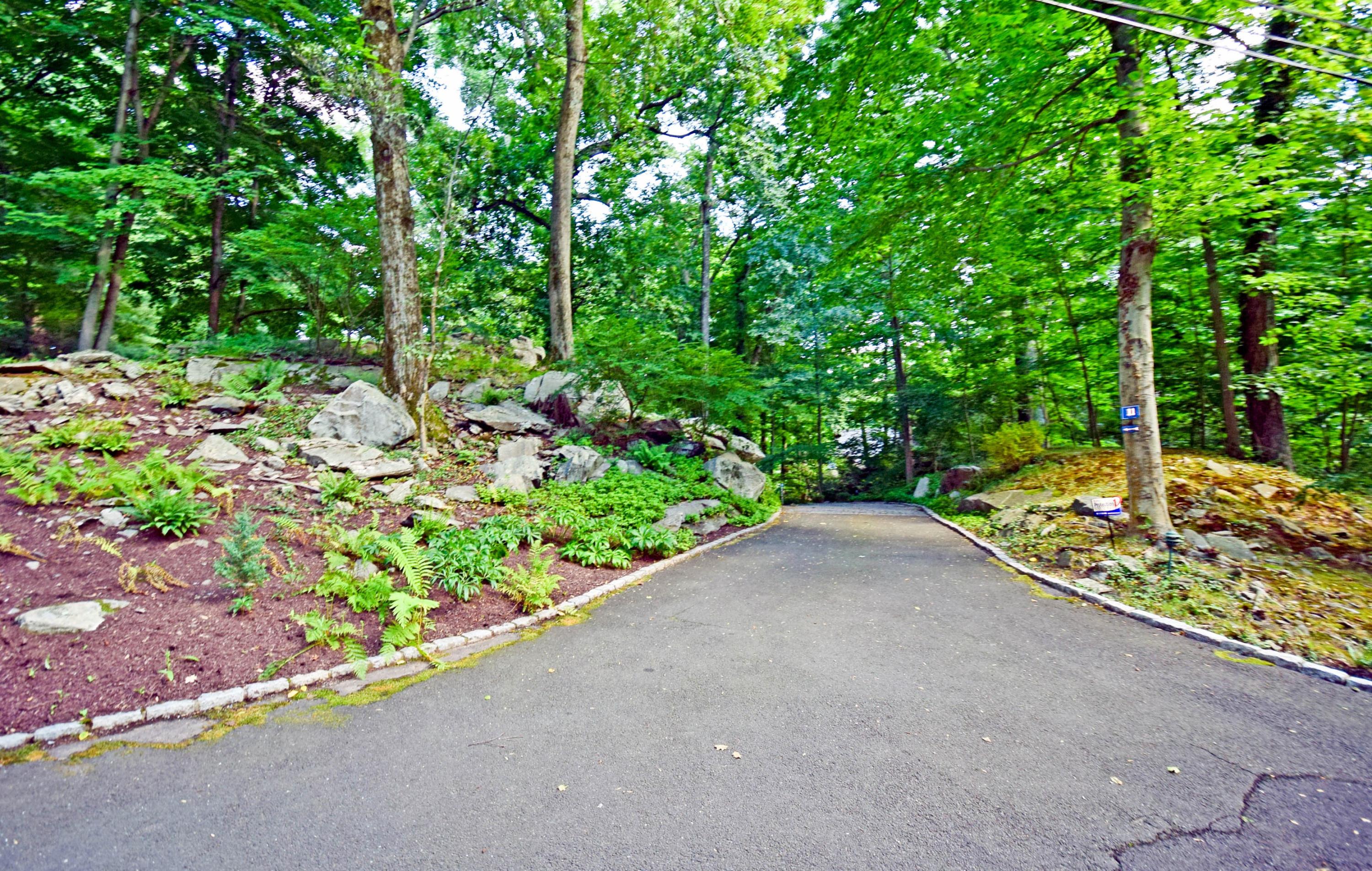 11 Wildcat Road Darien, CT 06820 - Photo 4 of 25 a view of a garden with potted plants