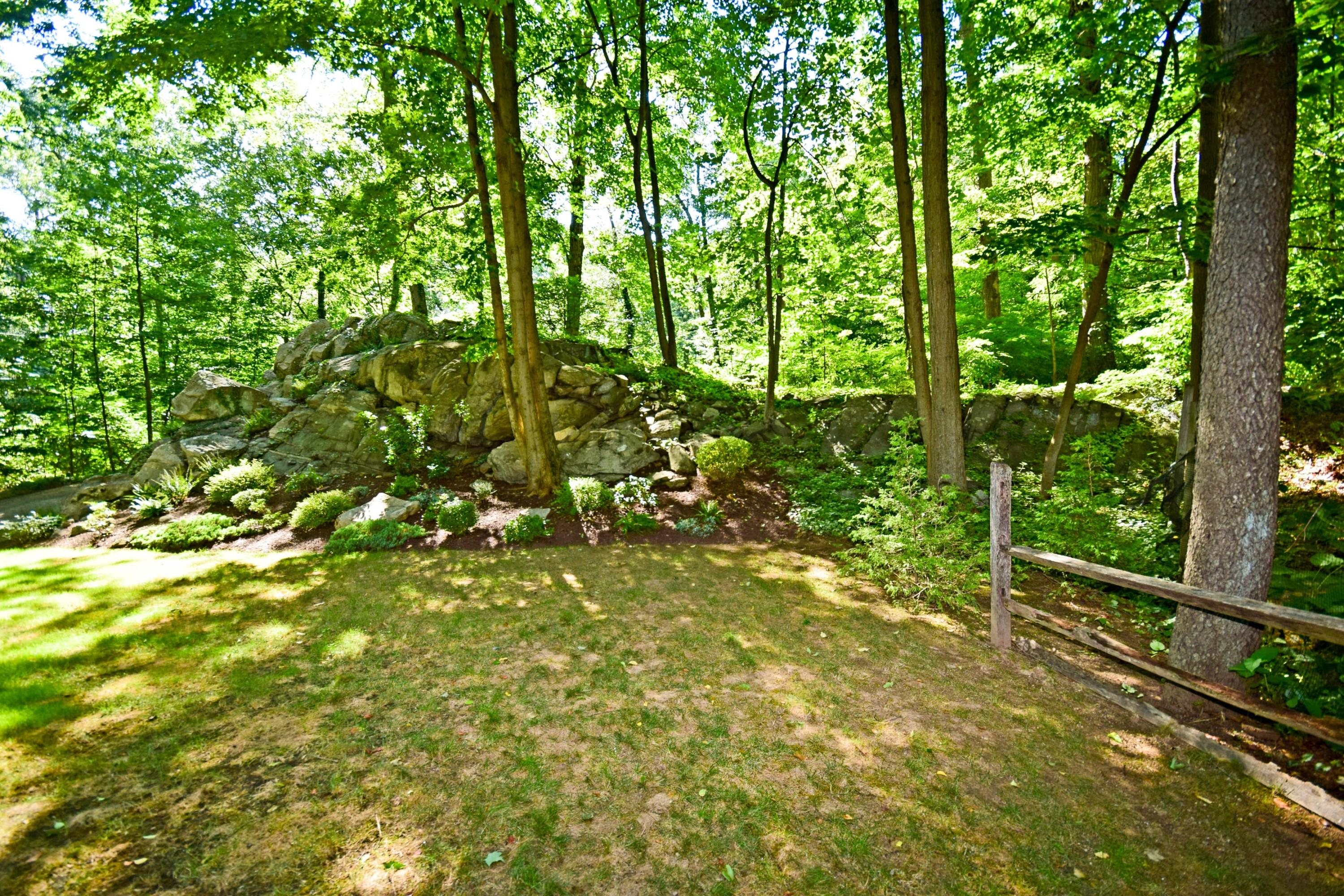 11 Wildcat Road Darien, CT 06820 - Photo 5 of 25 a view of forest