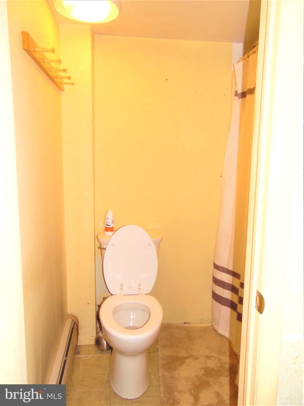 18908 Legislative Road Southwest Barton, MD 21521 - Photo 26 of 28 Basement Bathroom with shower