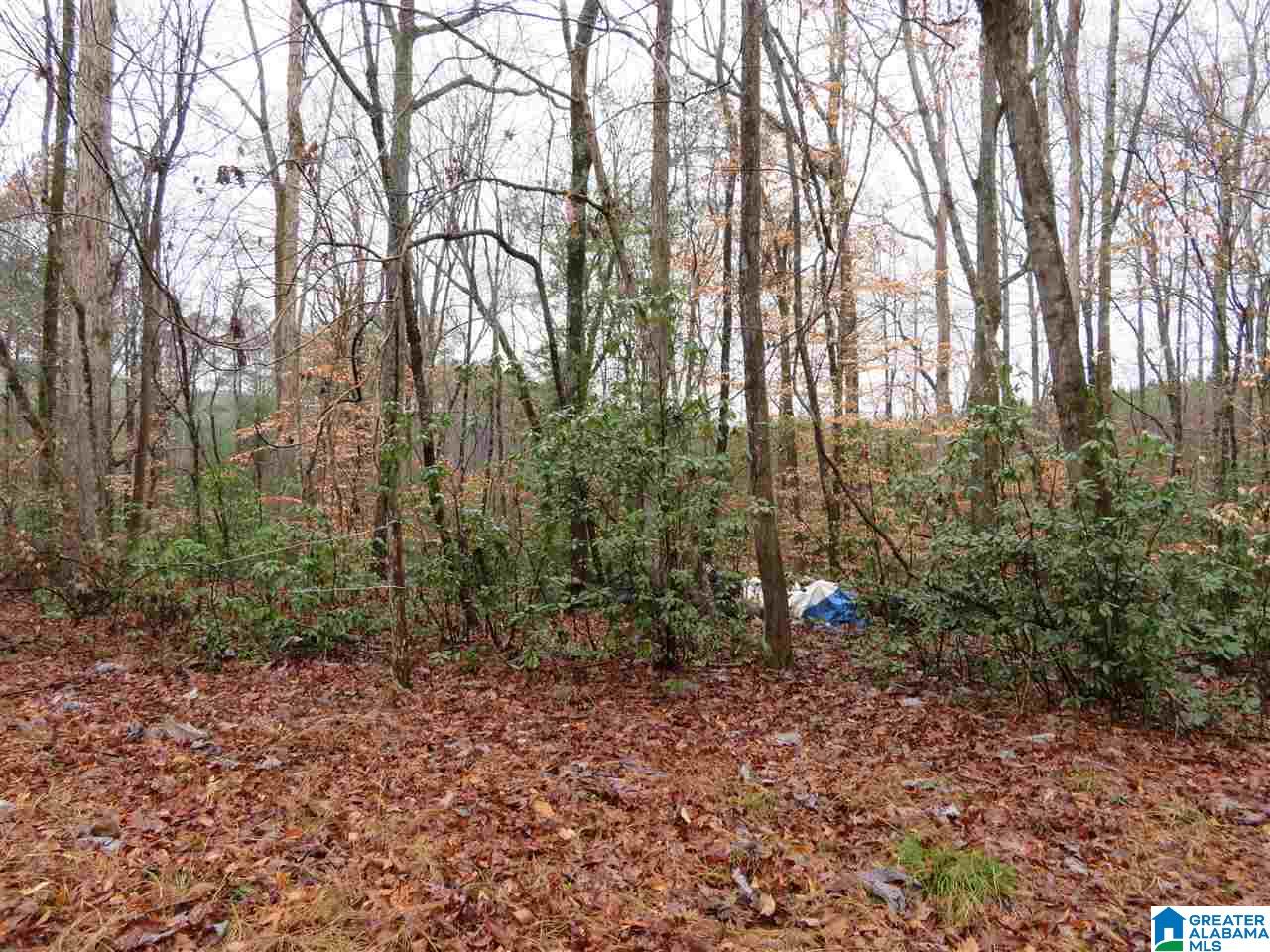 138 Cedar Grove Road West Blocton, AL 35184 - Photo 26 of 44