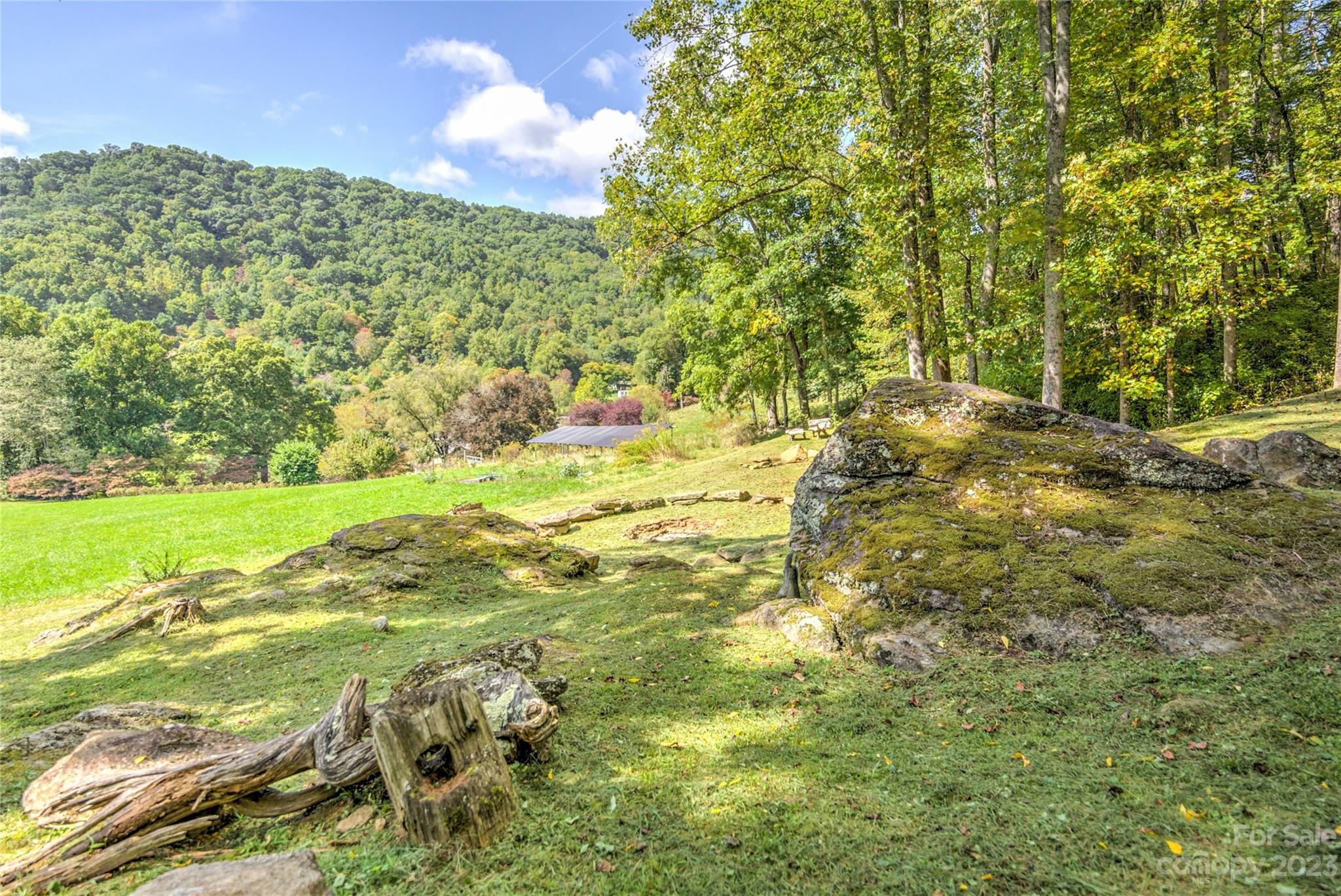 33 Taproot Trail Barnardsville, NC 28709 - Photo 28 of 46 a view of a yard with an trees