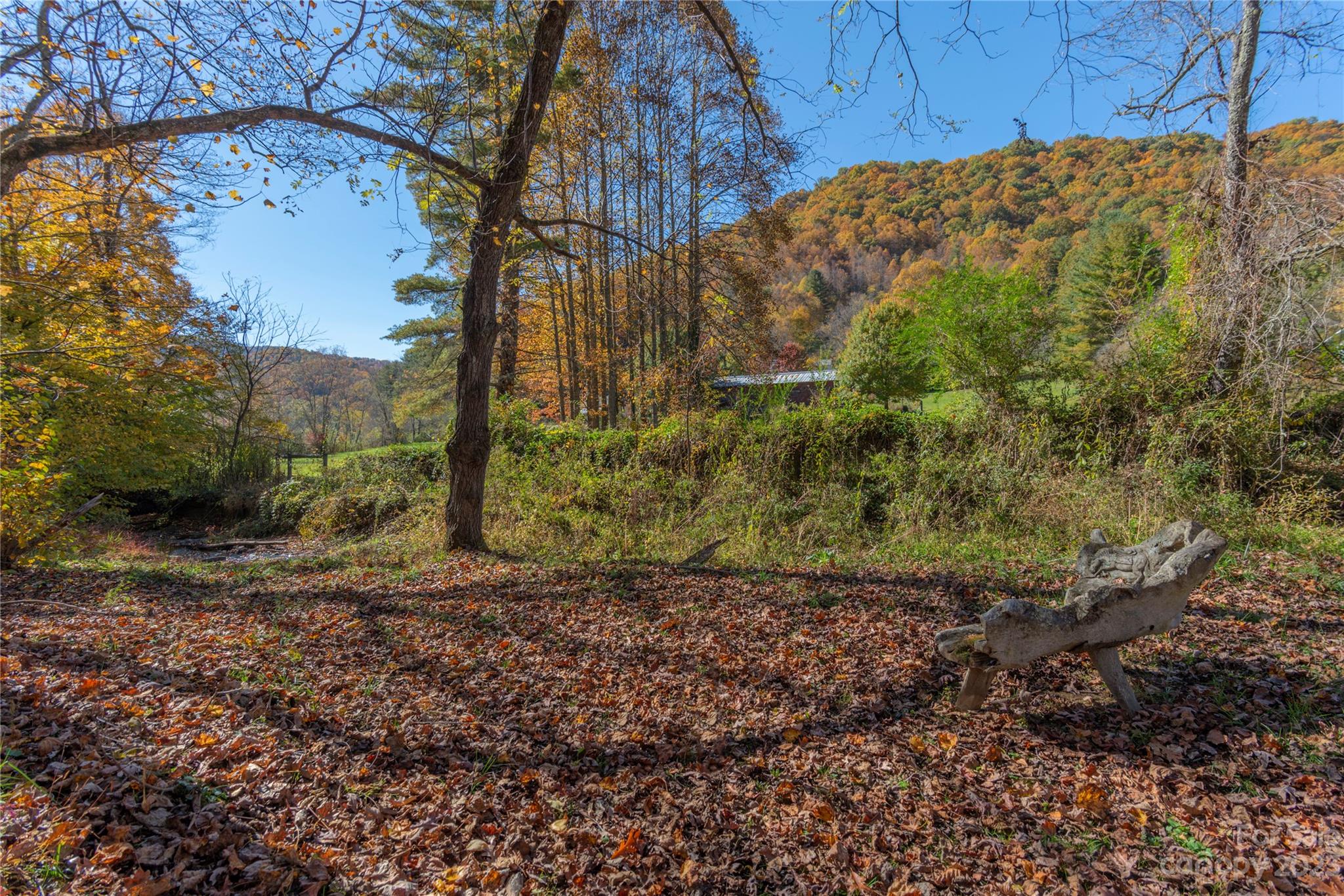 33 Taproot Trail Barnardsville, NC 28709 - Photo 43 of 46 a view of a yard
