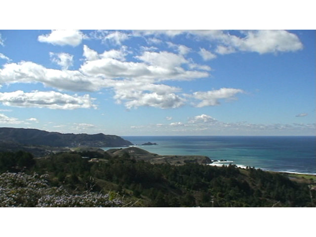 49 Outlook Circle Pacifica, CA 94044 - Photo 14 of 22
