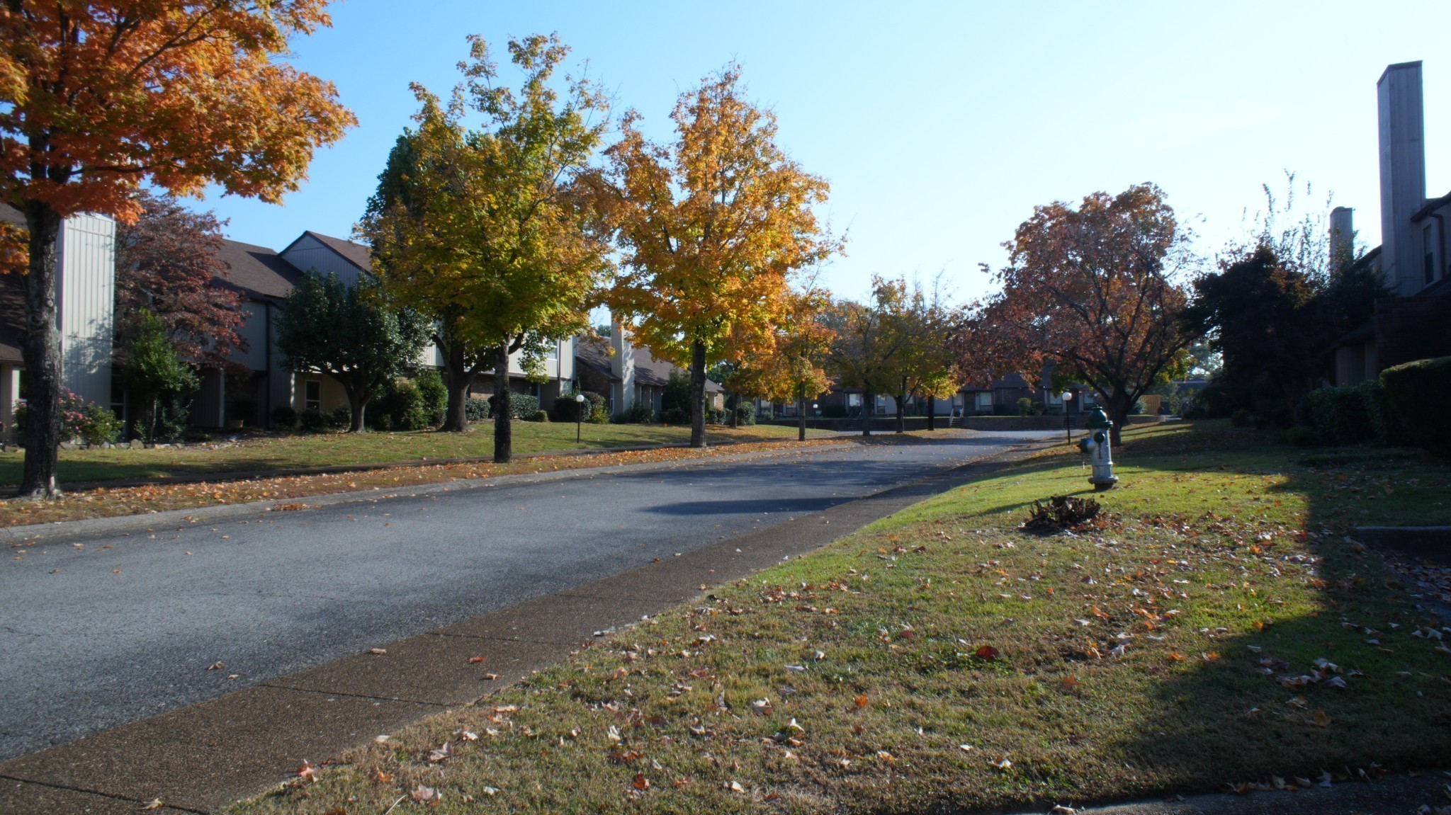 220 Harpers Mill Road Hermitage, TN 37076 - Photo 45 of 48 a lake view with tree