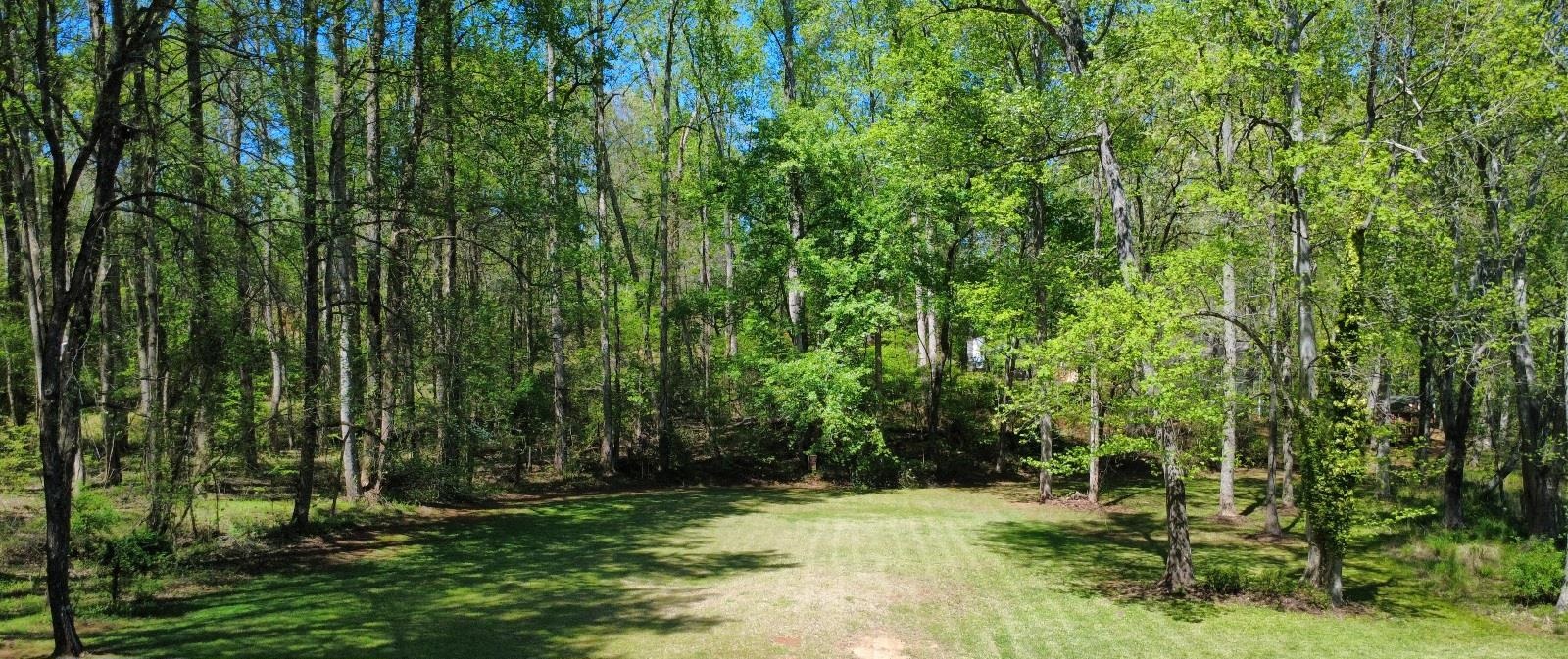 0 River Oak Road Inman, SC 29349 - Photo 14 of 15