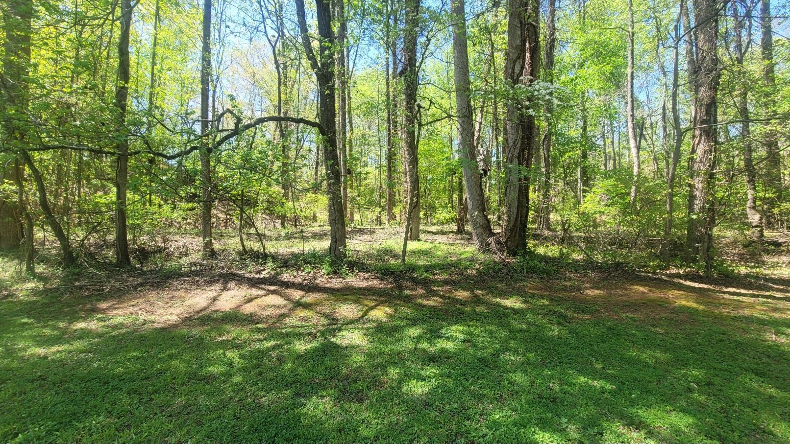 0 River Oak Road Inman, SC 29349 - Photo 2 of 15