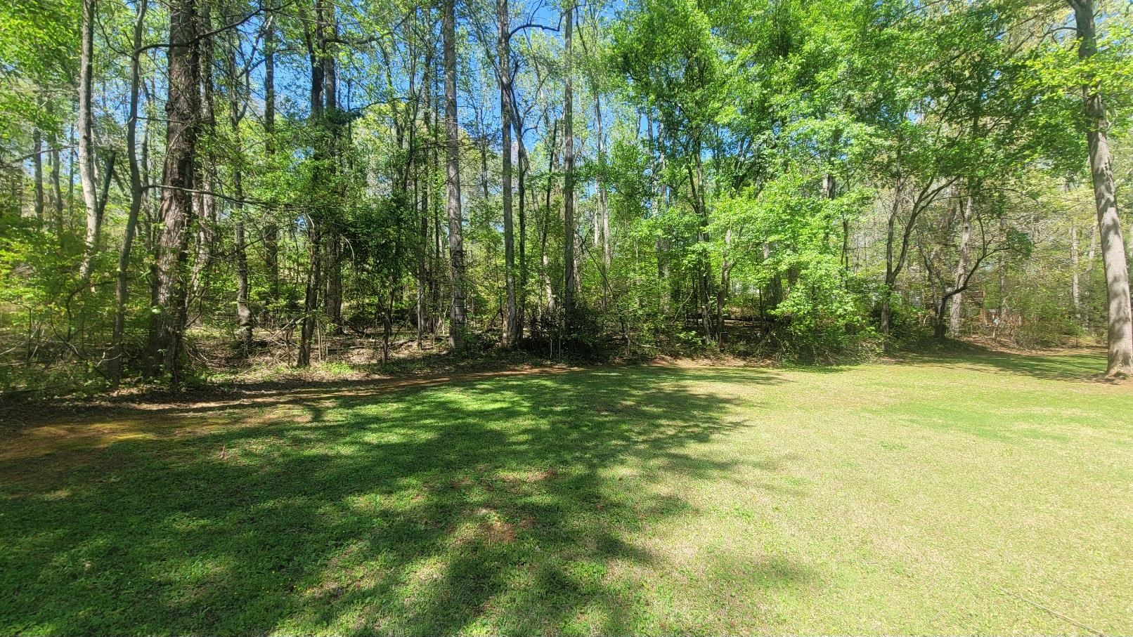 0 River Oak Road Inman, SC 29349 - Photo 3 of 15