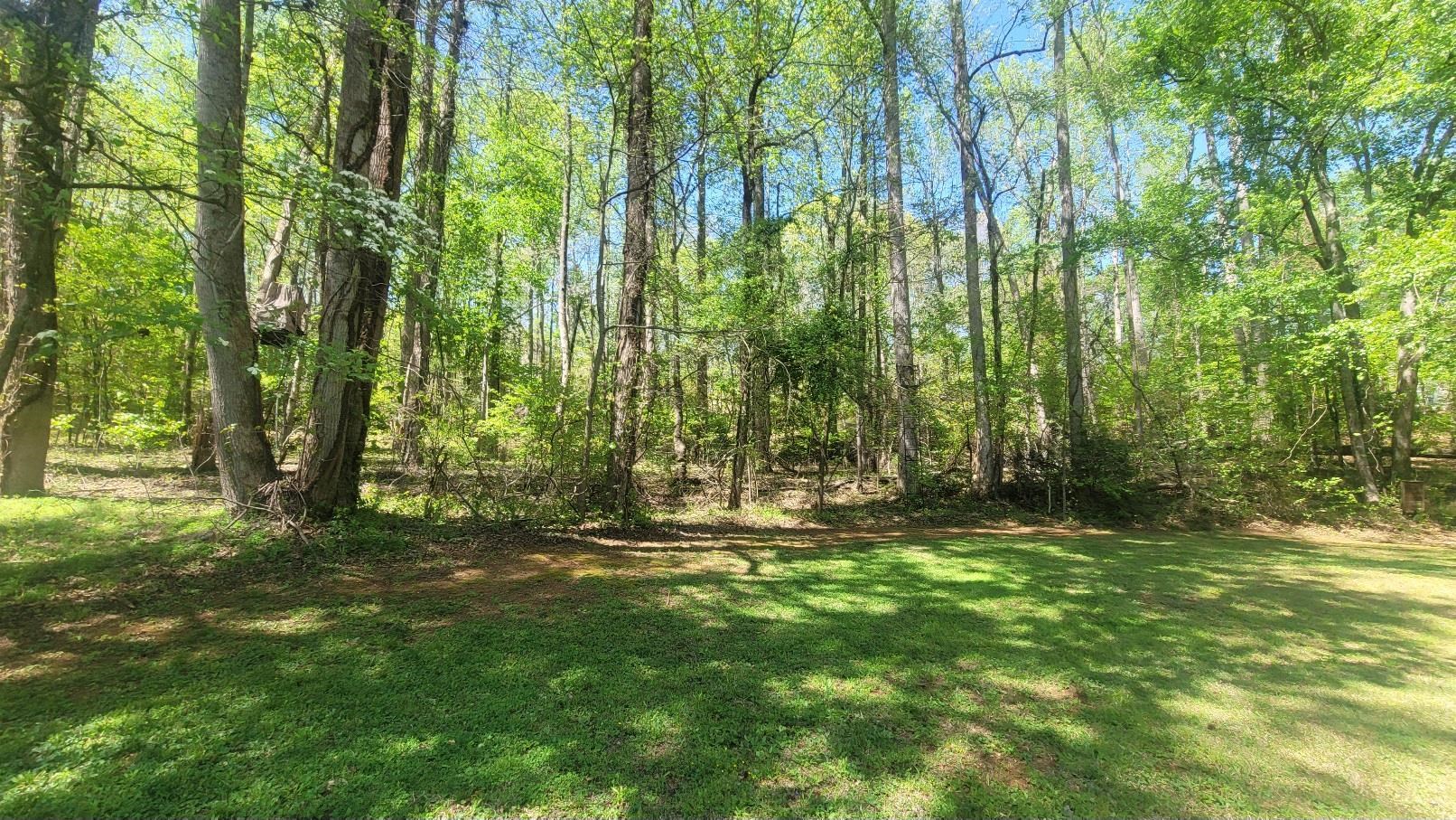0 River Oak Road Inman, SC 29349 - Photo 4 of 15