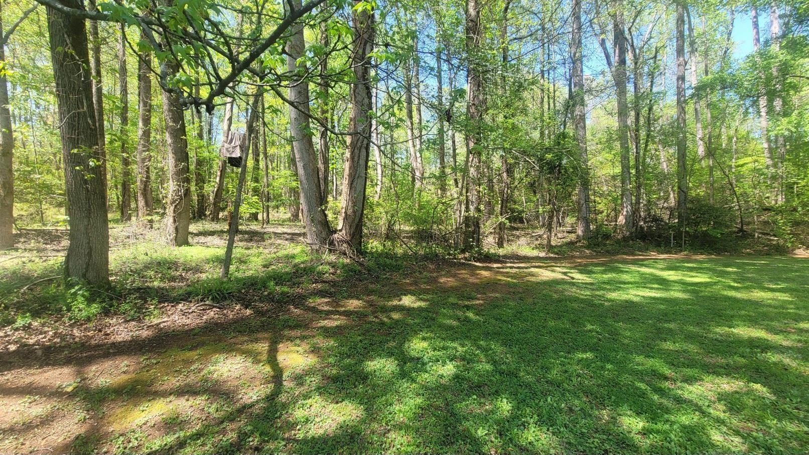 0 River Oak Road Inman, SC 29349 - Photo 9 of 15