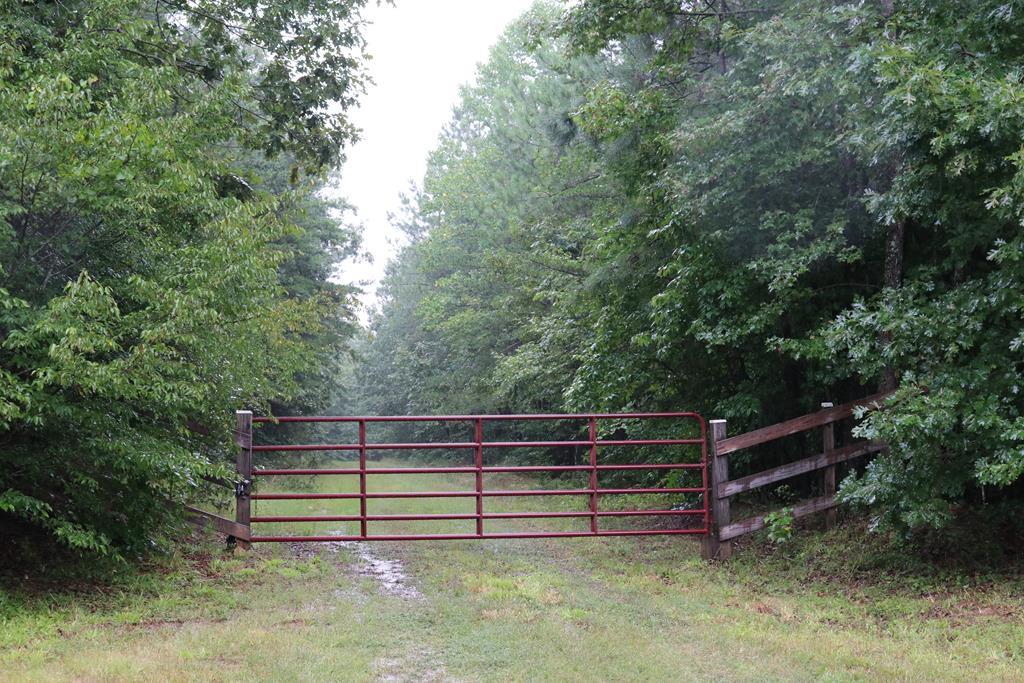 643 New Grove Road Kenbridge, VA 23944 - Photo 2 of 10 Gallery Image 2