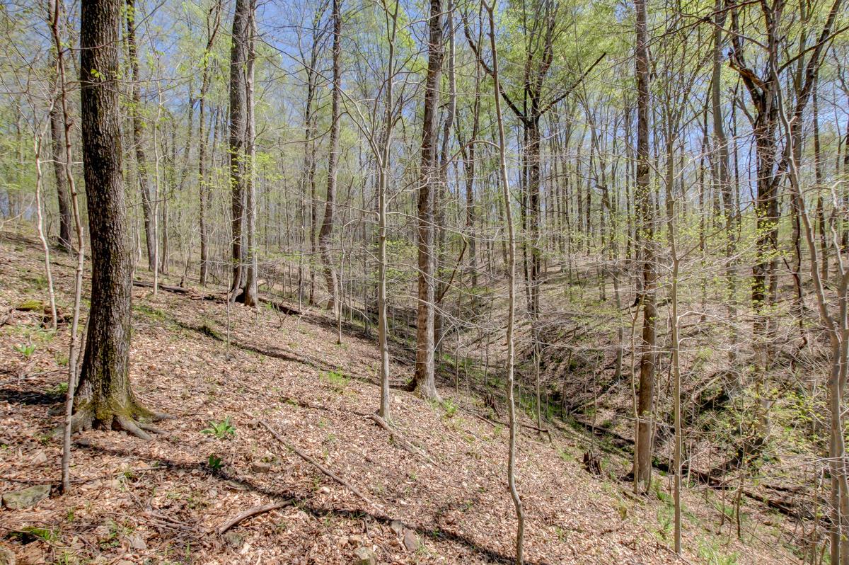 2 Vickers Road Palmyra, TN 37142 - Photo 8 of 28 Gallery Image 8