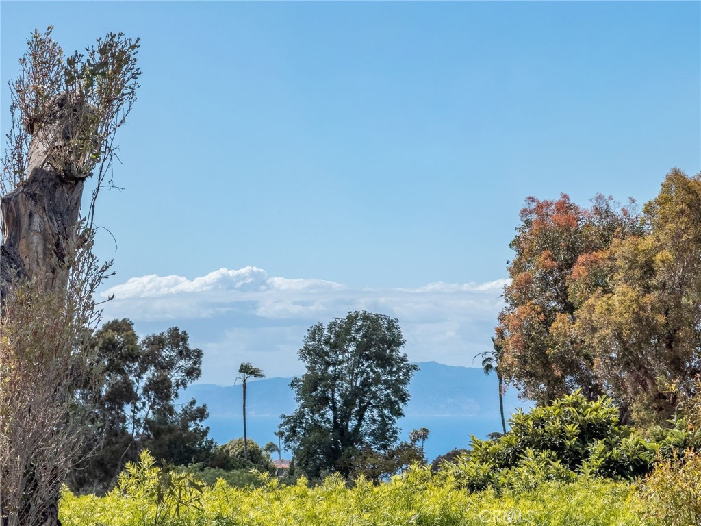 26813 Springcreek Road Rancho Palos Verdes, CA 90275 - Photo 44 of 70