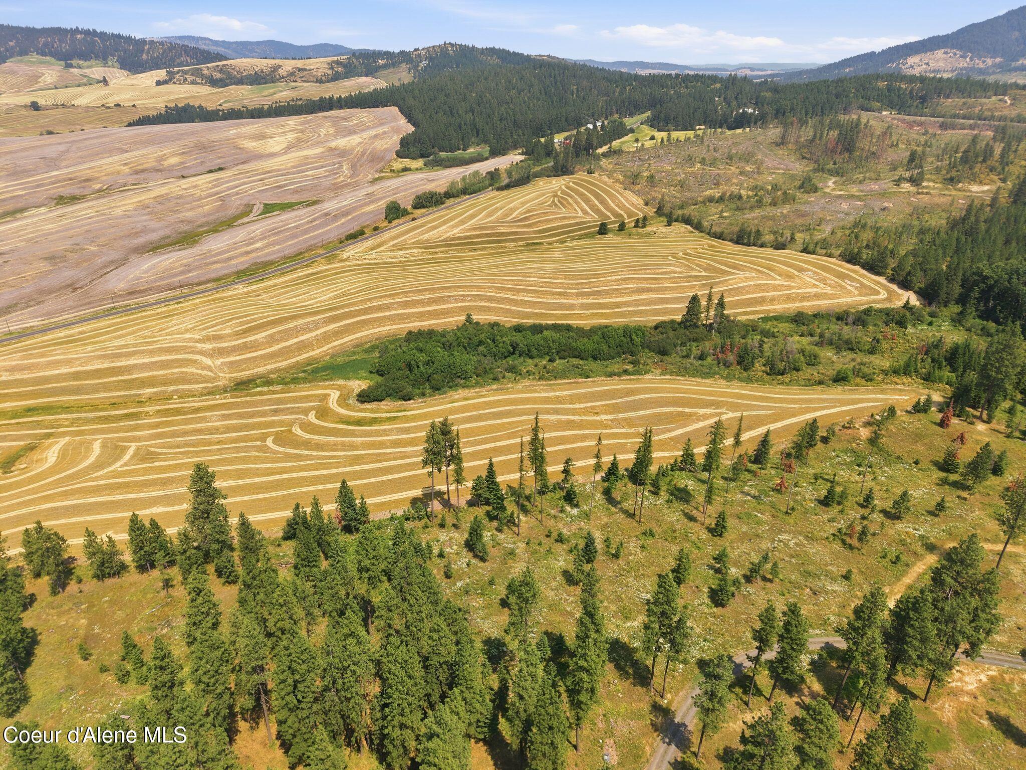 9.5-acres 9.5-acres Ranch Plummer, ID 83851 - Photo 21 of 43 9.5 Idaho Acres